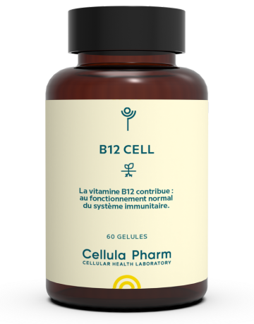 B12 Cell